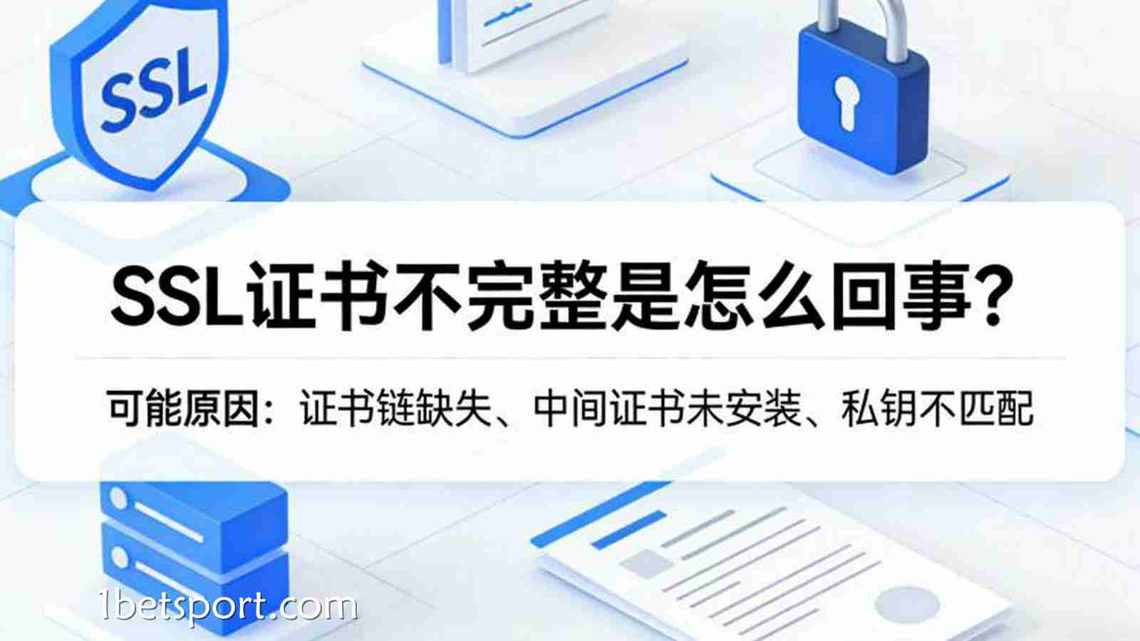 拒绝钓鱼网站：三招教你从SSL证书与链路延迟中一眼辨别“原厂正品”。