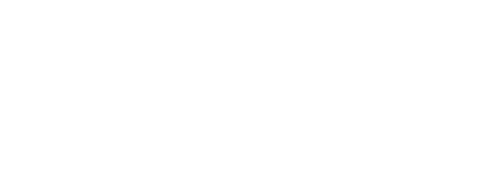 1XBET体育